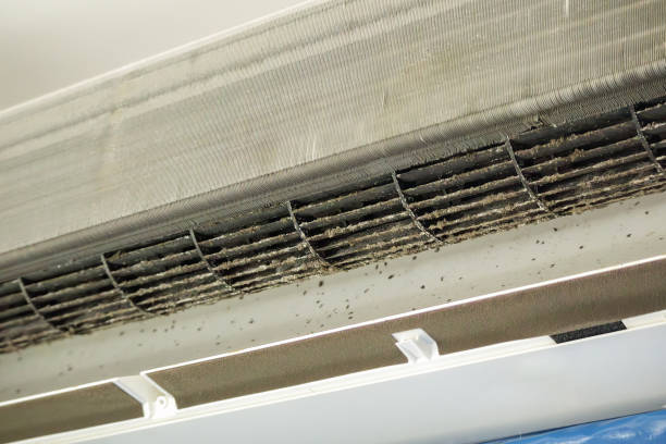 Best Home Air Vent Cleaning  in Galveston, IN